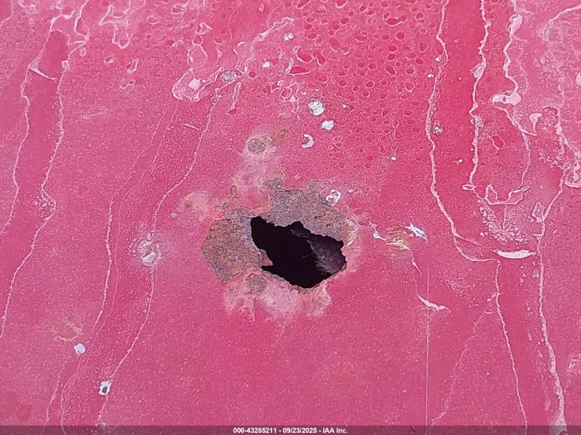 2004 Chevrolet Silverado 1500 Z71 VIN: 2GCEK19T541282794 Lot: 43285211