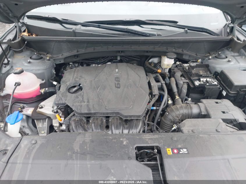 2025 Hyundai Tucson Sel VIN: 5NMJBCDE3SH460763 Lot: 43285587