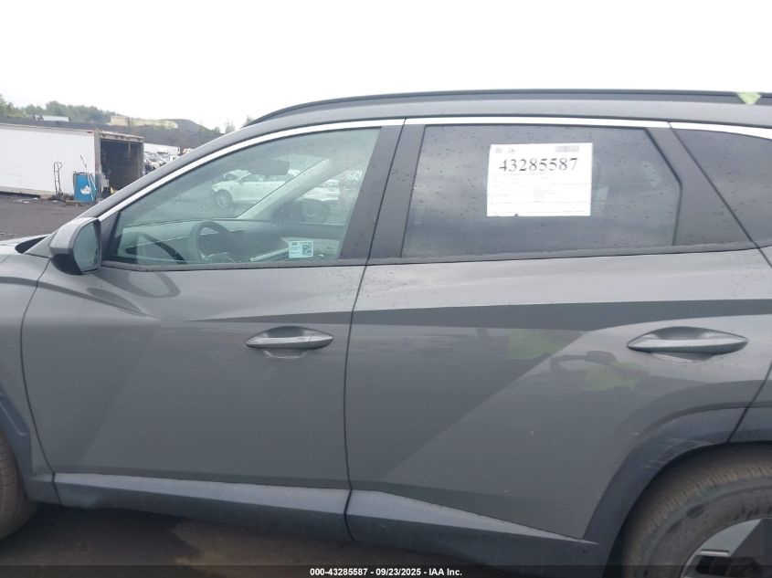 2025 Hyundai Tucson Sel VIN: 5NMJBCDE3SH460763 Lot: 43285587