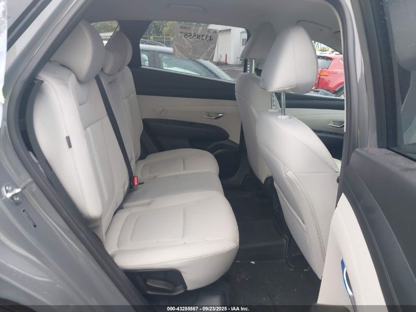 2025 Hyundai Tucson Sel VIN: 5NMJBCDE3SH460763 Lot: 43285587