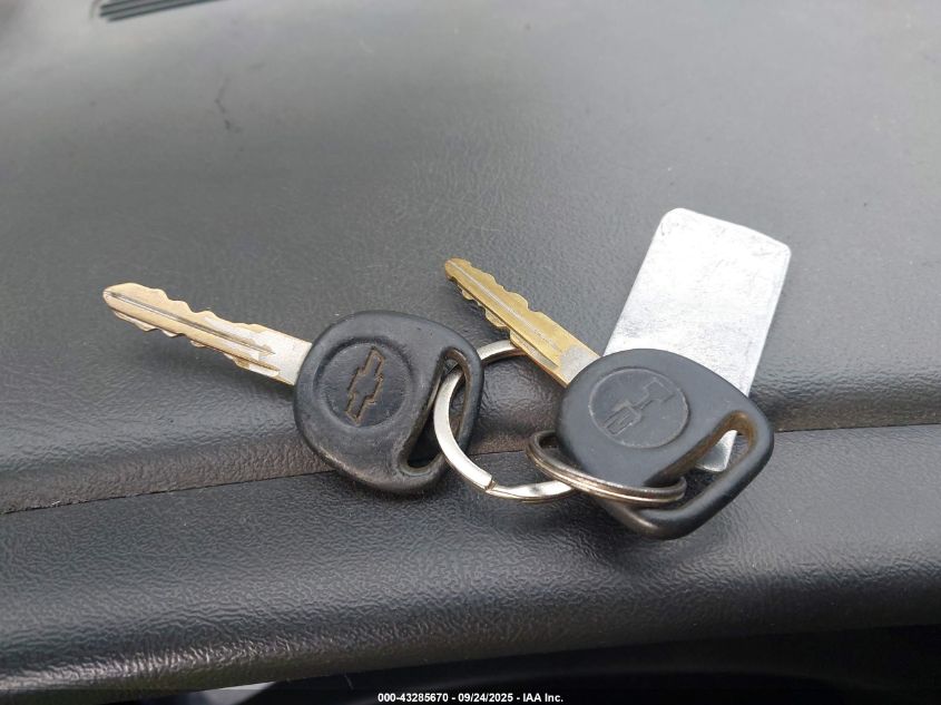 2004 Chevrolet Silverado 1500 VIN: 1GCEC14X84Z233135 Lot: 43285670