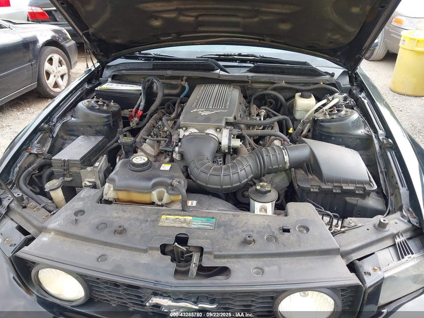 2008 Ford Mustang VIN: 1ZVHT82H585111909 Lot: 43285780