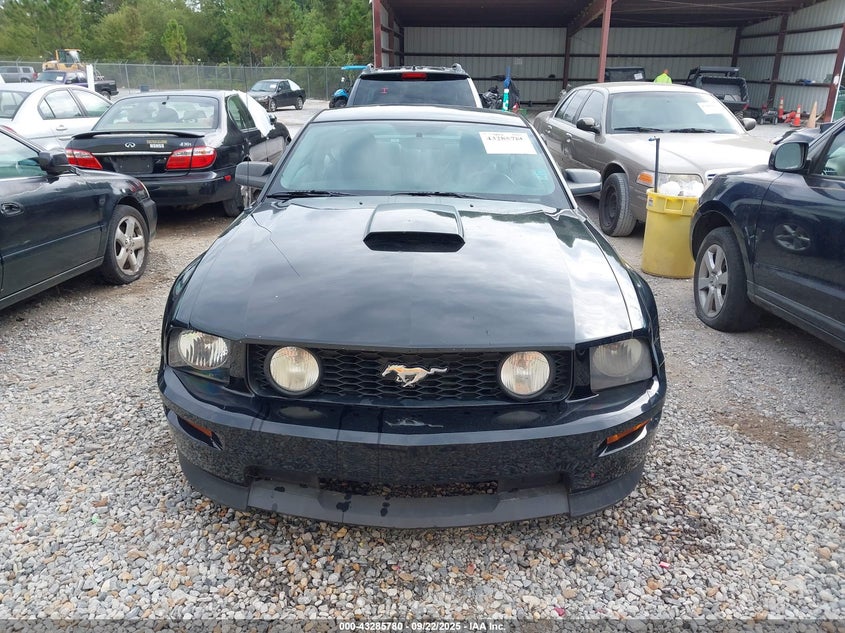 2008 Ford Mustang VIN: 1ZVHT82H585111909 Lot: 43285780