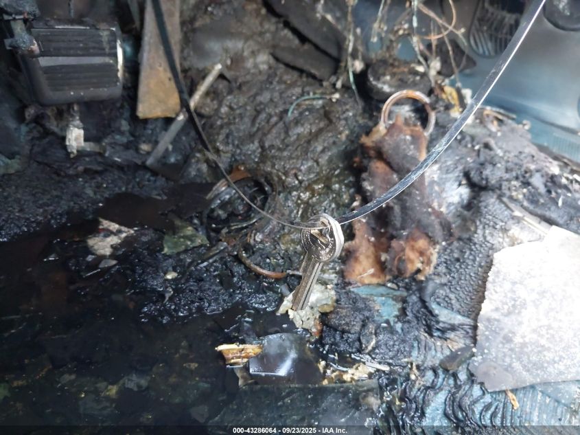 1966 Pontiac Gto VIN: 242176P219158 Lot: 43286064