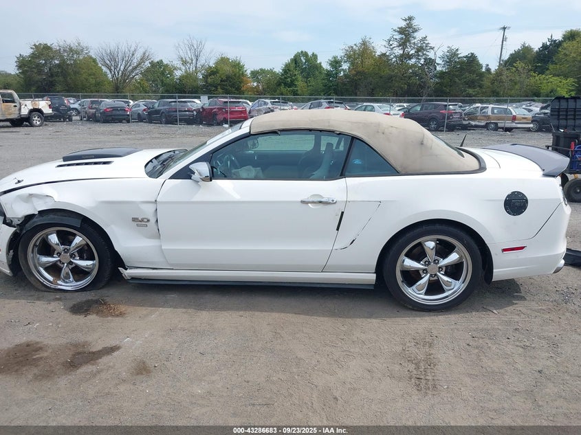 2013 FORD MUSTANG GT - 1ZVBP8FF4D5215661