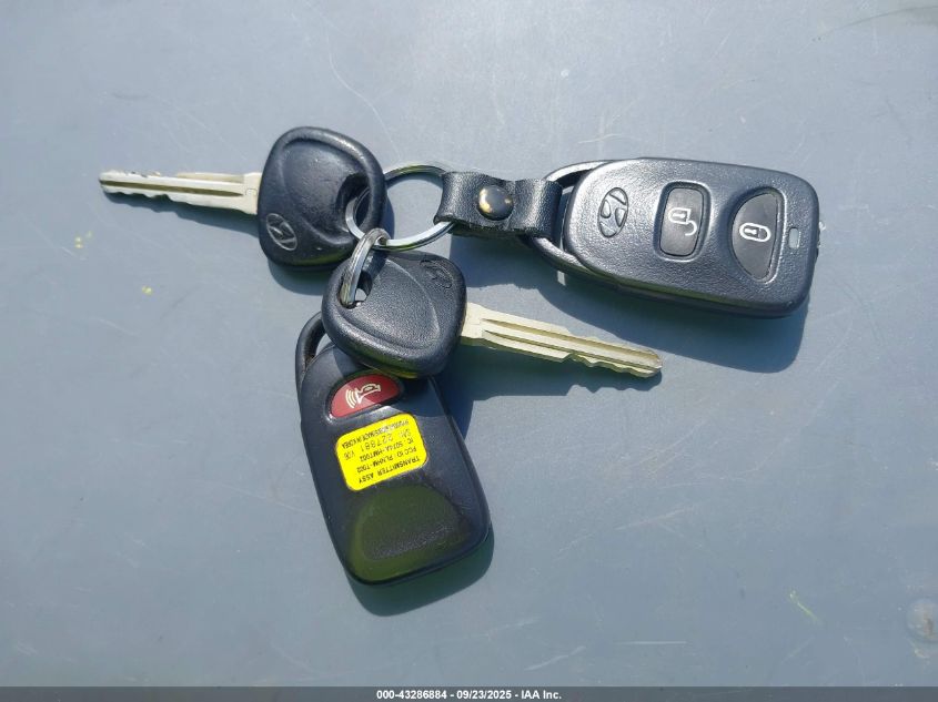 2007 Hyundai Santa Fe Limited/Se VIN: 5NMSH13E97H096607 Lot: 43286884