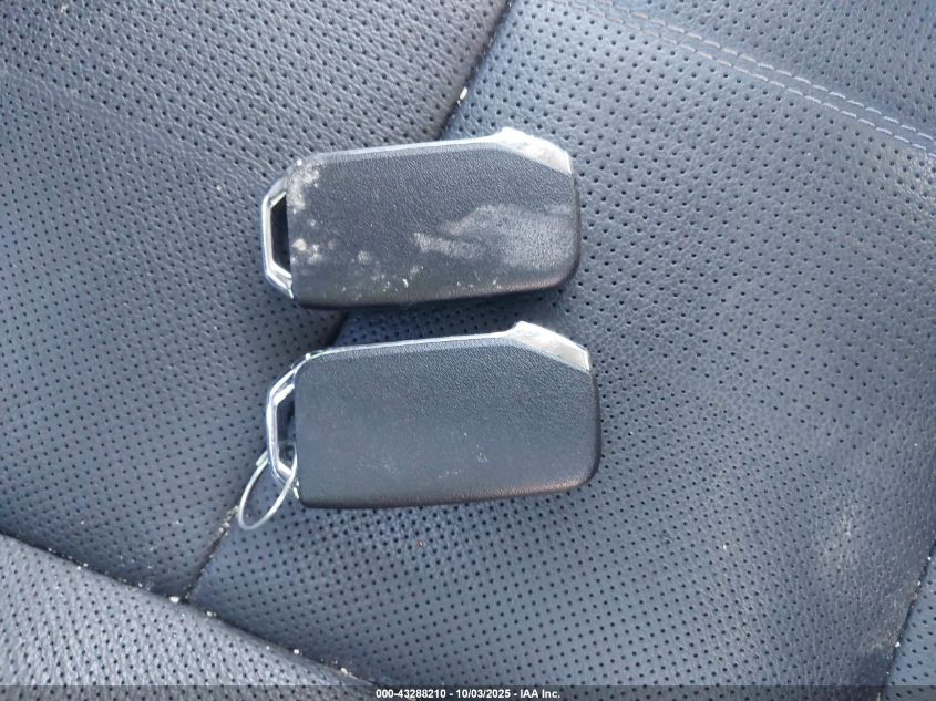 2022 Kia Telluride Sx VIN: 5XYP5DHC4NG303497 Lot: 43288210