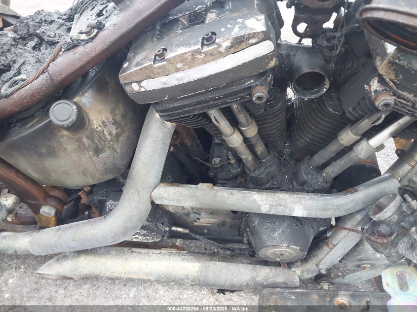 1994 Harley-Davidson Flstc VIN: 1HD1BJL49RY019016 Lot: 43288264