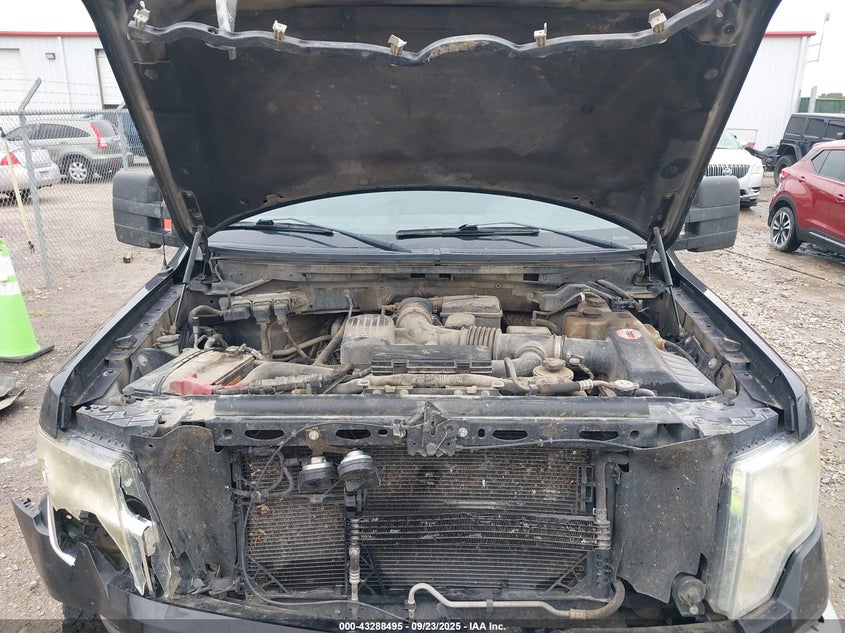 2010 Ford F-150 Fx4/Harley-Davidson/King Ranch/Lariat/Platinum/Xl/Xlt VIN: 1FTFW1EVXAKE64387 Lot: 43288495