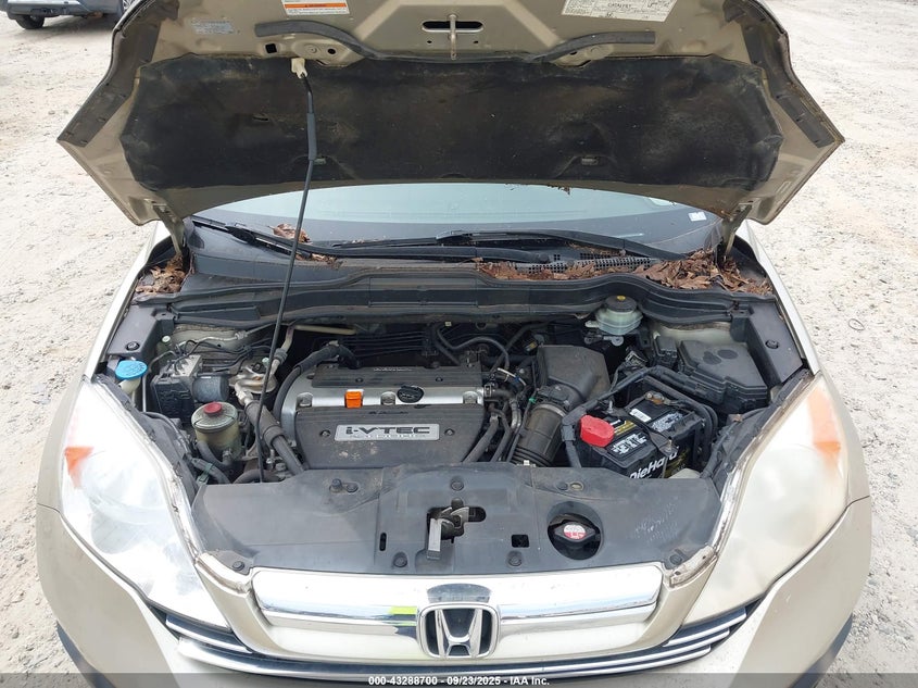 2007 Honda Cr-V Ex-L VIN: JHLRE38757C027556 Lot: 43288700