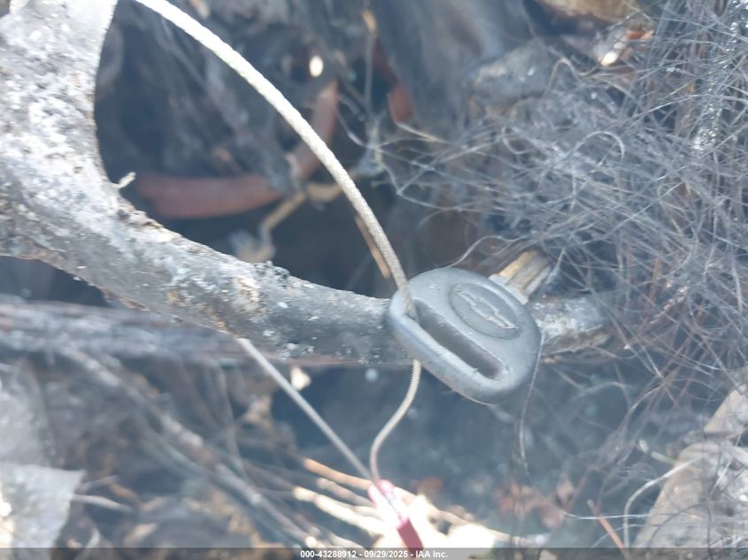 2007 Chevrolet Tahoe Ltz VIN: 1GNFC13J27R135845 Lot: 43288912