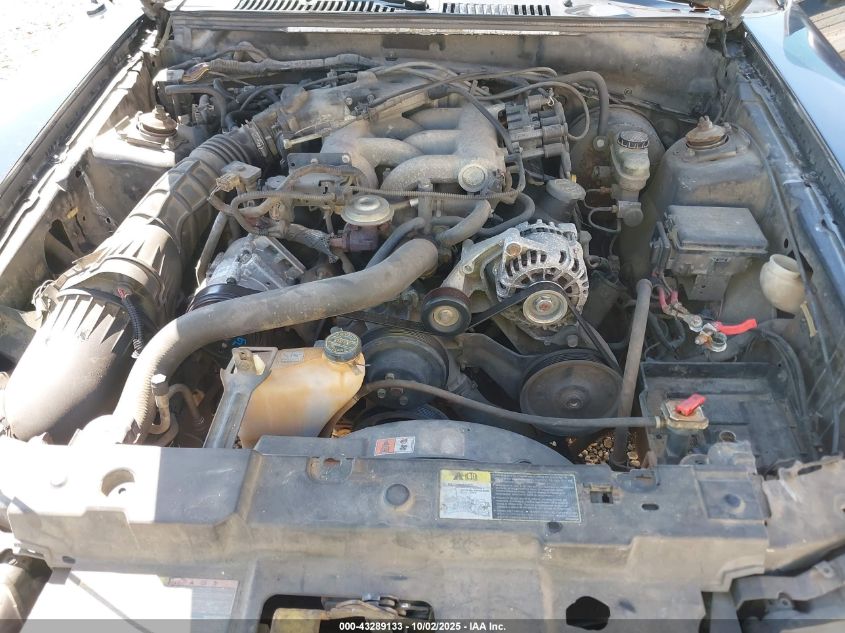 2001 Ford Mustang VIN: 1FAFP44491F155385 Lot: 43289133