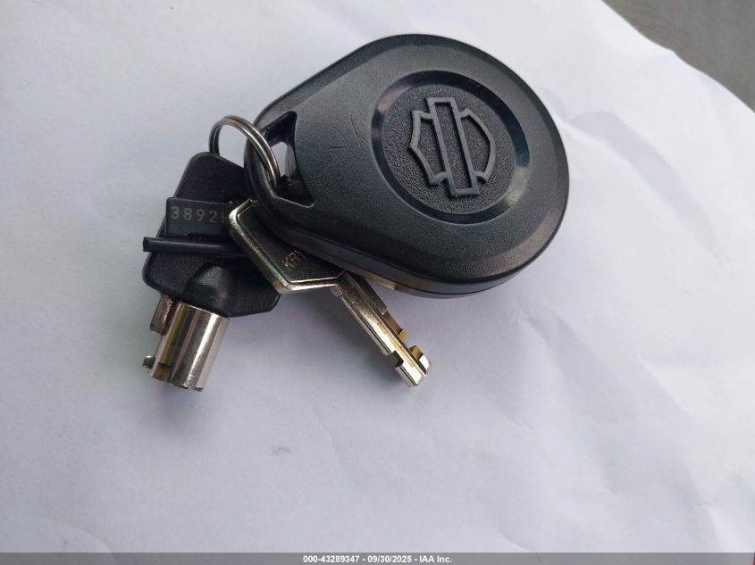 2007 Harley-Davidson Flhrci VIN: 1HD1FR4337Y609766 Lot: 43289347