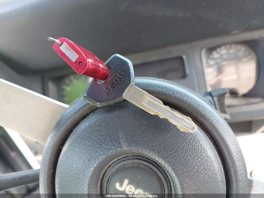 1993 Jeep Wrangler / Yj VIN: 1J4FY29S9PP254157 Lot: 43289862