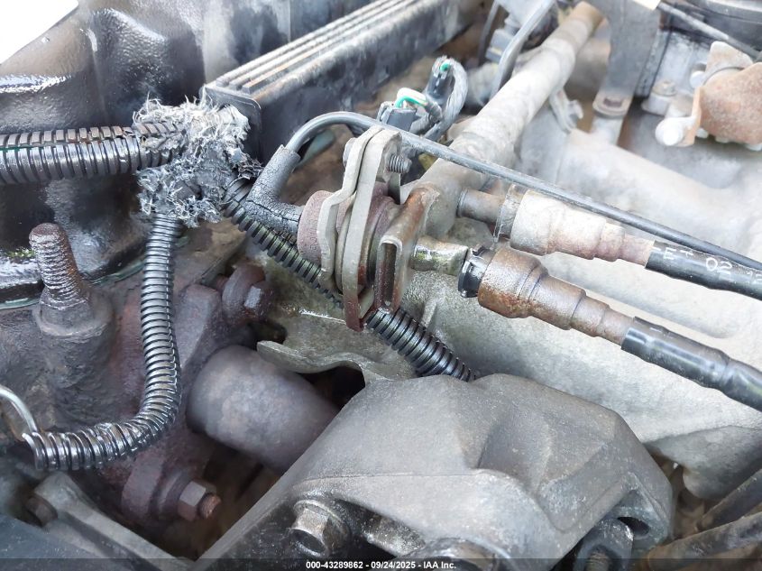 1993 Jeep Wrangler / Yj VIN: 1J4FY29S9PP254157 Lot: 43289862