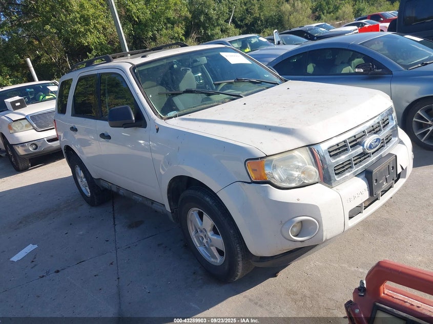 FORD ESCAPE XLT