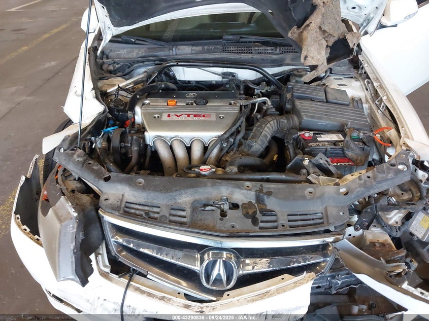 2006 Acura Tsx VIN: JH4CL96926C004779 Lot: 43290836