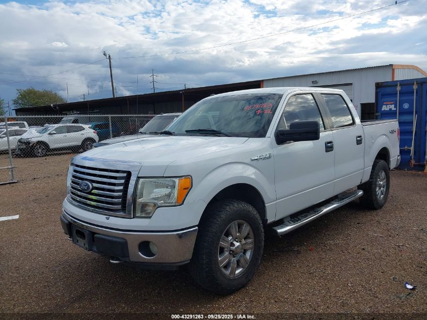 2010 Ford F-150 Xl/Xlt VIN: 1FTEW1E87AFC50651 Lot: 43291263