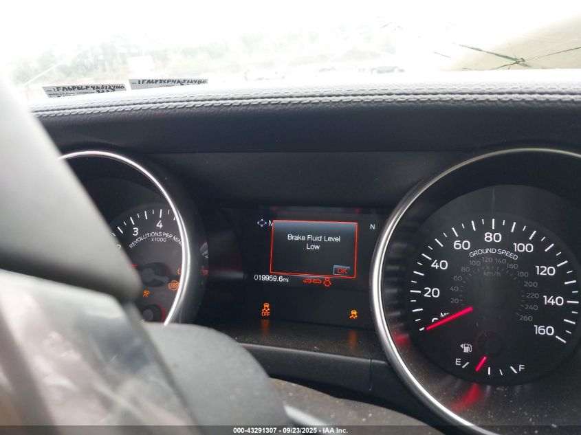 2019 Ford Mustang Gt VIN: 1FA6P8CF4K5124160 Lot: 43291307