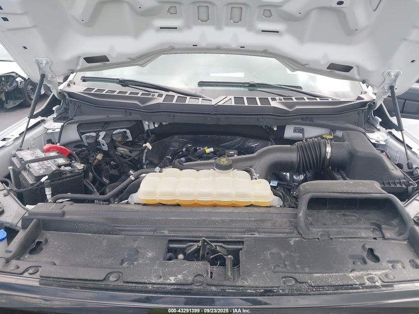 1FTEW2KP3RKE74813 2024 FORD F-150 photo no. 10