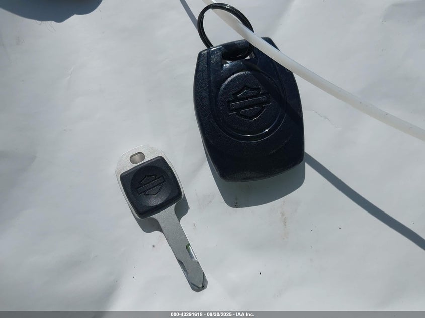 2025 Harley-Davidson Fxlrs VIN: 1HD1YWA22SB021549 Lot: 43291618