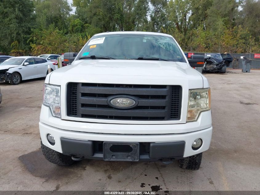 2009 Ford F-150 Fx4 VIN: 1FTPW14V39FA49275 Lot: 43291623