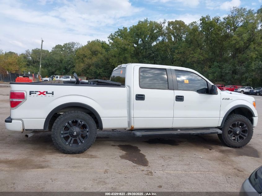 2009 Ford F-150 Fx4 VIN: 1FTPW14V39FA49275 Lot: 43291623