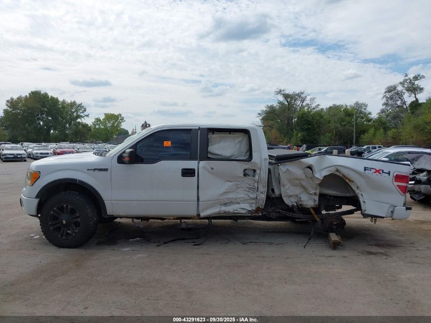 2009 Ford F-150 Fx4 VIN: 1FTPW14V39FA49275 Lot: 43291623
