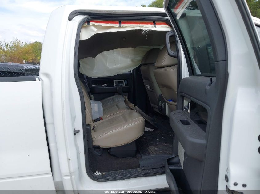 2009 Ford F-150 Fx4 VIN: 1FTPW14V39FA49275 Lot: 43291623