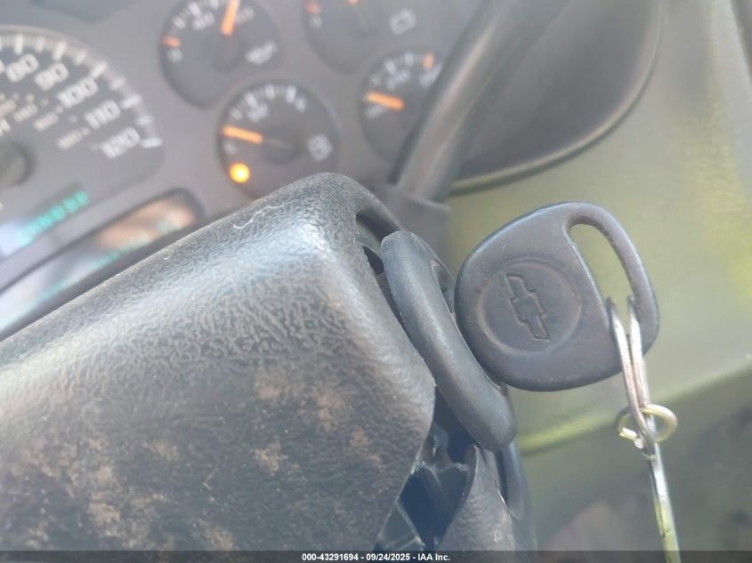 2003 Chevrolet Silverado K1500 VIN: 2GCEK19T131199572 Lot: 43291694