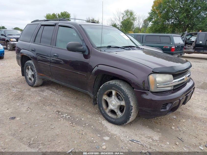 1GNDT13S682240303 2008 Chevrolet Trailblazer Fleet auction photo 1