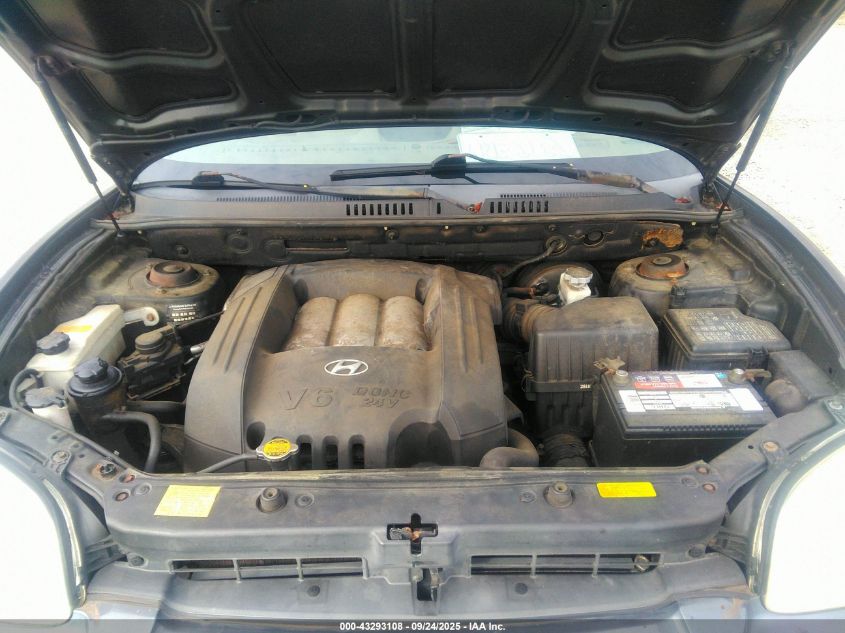 2005 Hyundai Santa Fe Gls VIN: KM8SC13D45U919600 Lot: 43293108