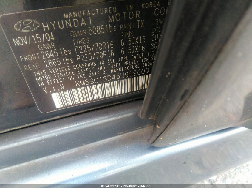 2005 Hyundai Santa Fe Gls VIN: KM8SC13D45U919600 Lot: 43293108