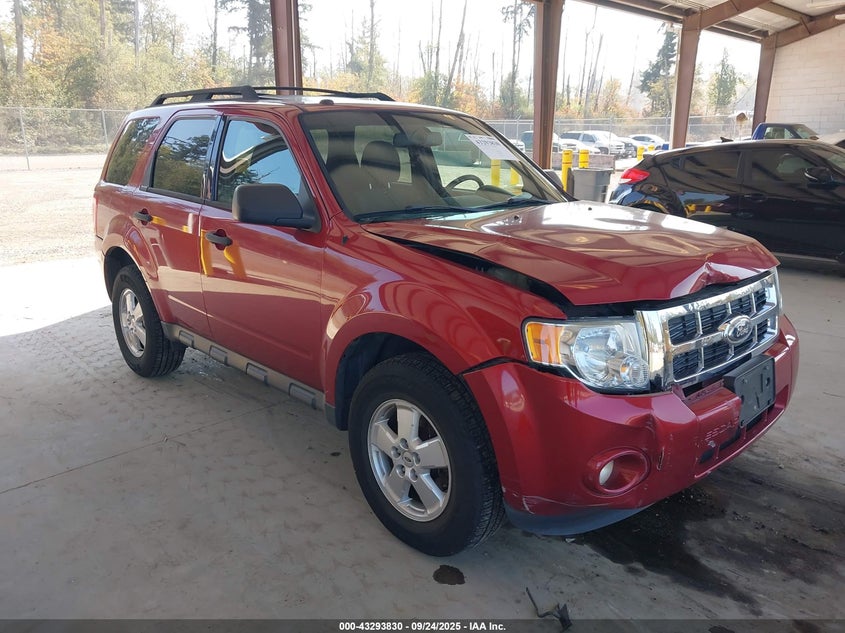 FORD ESCAPE XLT