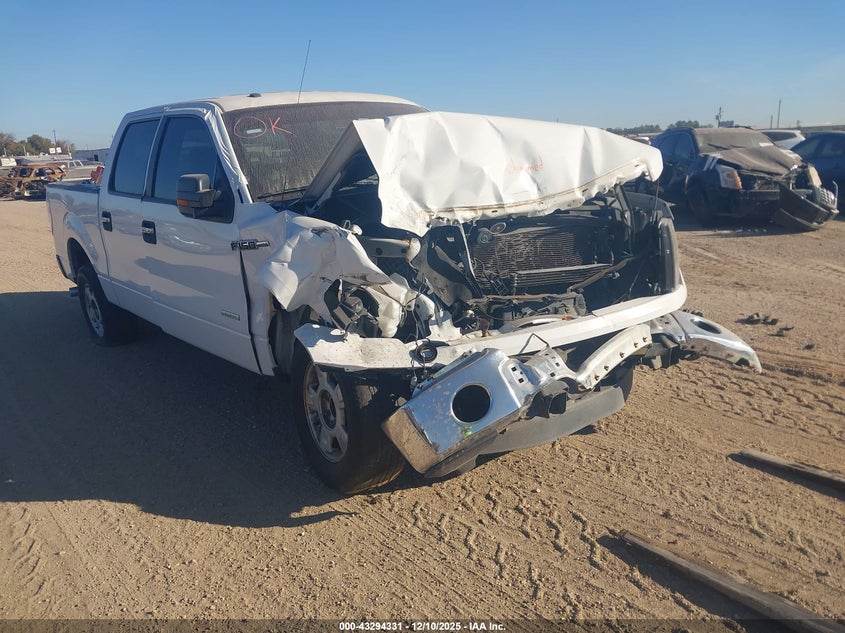 2013 Ford F-150 Xlt VIN: 1FTFW1CT1DFA09202 Lot: 43294331