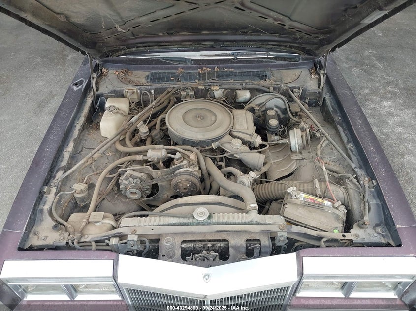 1988 Chrysler Fifth Avenue VIN: 1C3BF66P1JW154010 Lot: 43294869