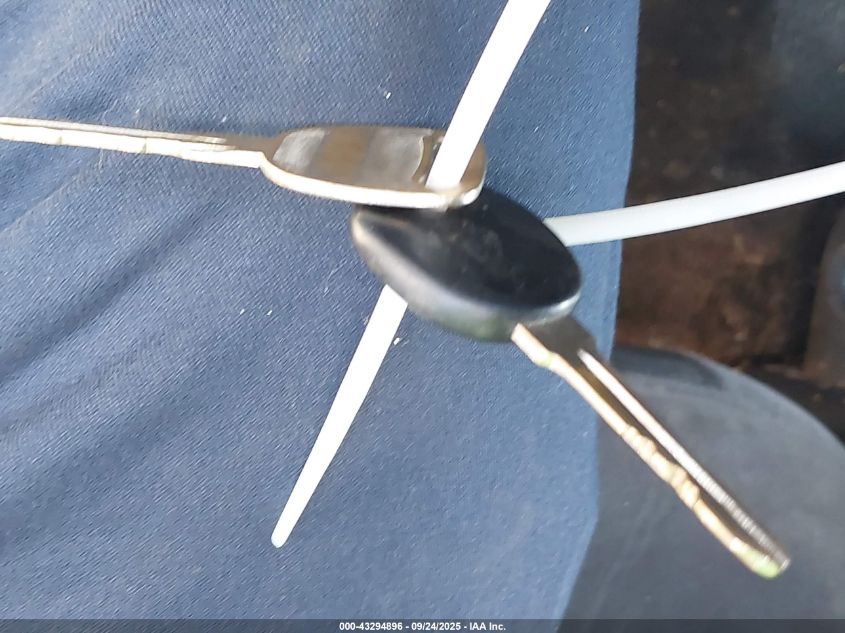 2001 Chevrolet Silverado 1500 Ls VIN: 2GCEC19V011395207 Lot: 43294896