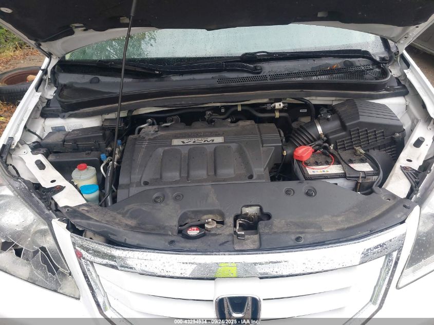 2009 Honda Odyssey Ex-L VIN: 5FNRL38779B053925 Lot: 43294934