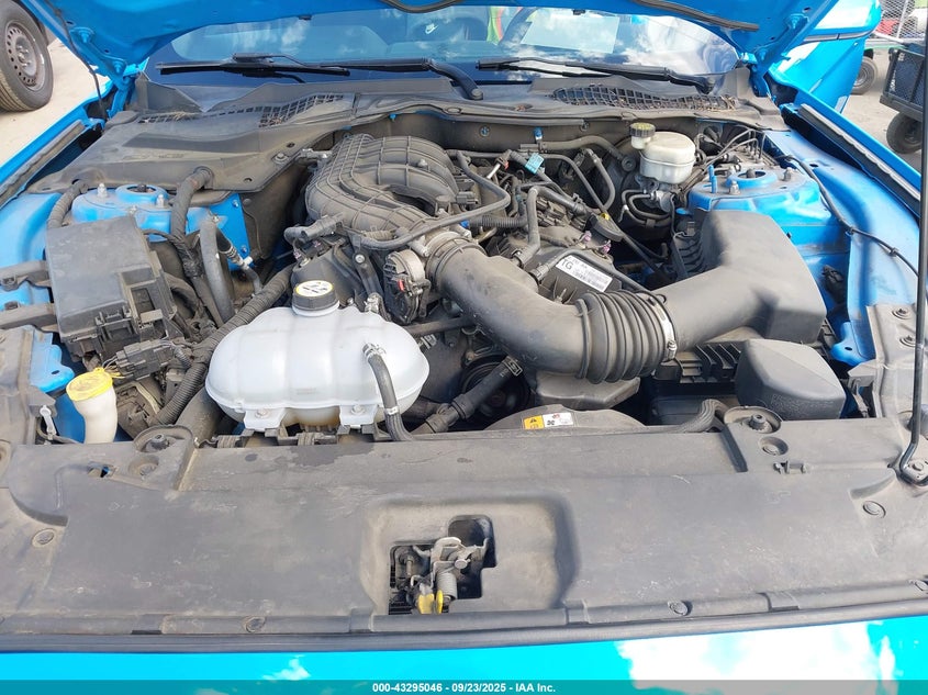 VIN 1FA6P8AM6H5203596 2017 FORD MUSTANG V6