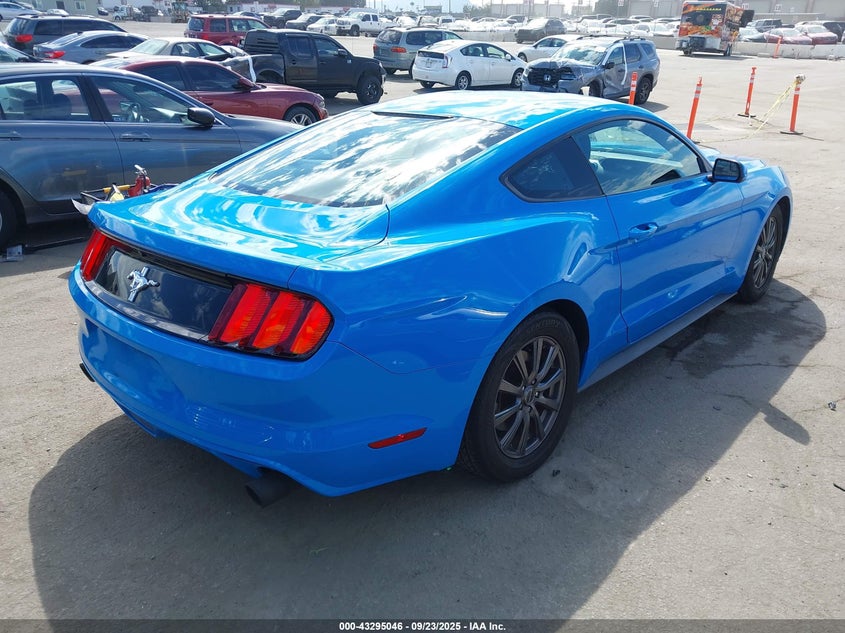 VIN 1FA6P8AM6H5203596 2017 FORD MUSTANG V6