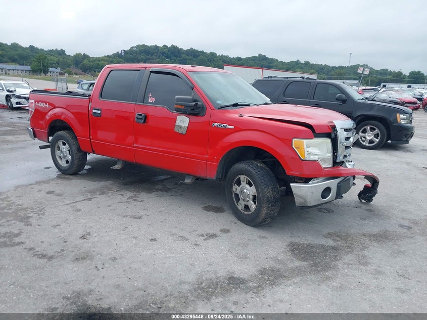 FORD F-150 FX4/HARLEY-DAVIDSON/KING RANCH/LARIAT/PLATINUM/XL/XLT