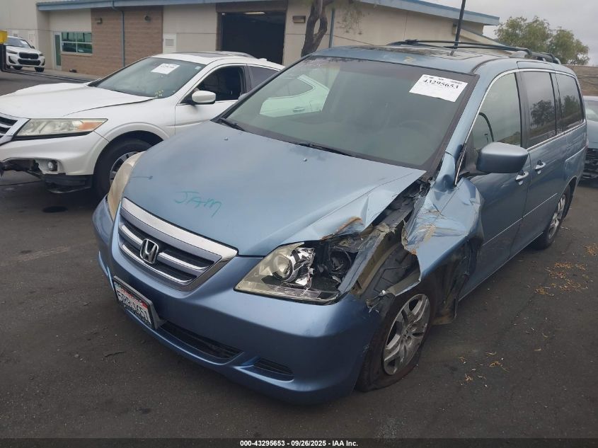 2005 Honda Odyssey Ex-L VIN: 5FNRL38695B105850 Lot: 43295653