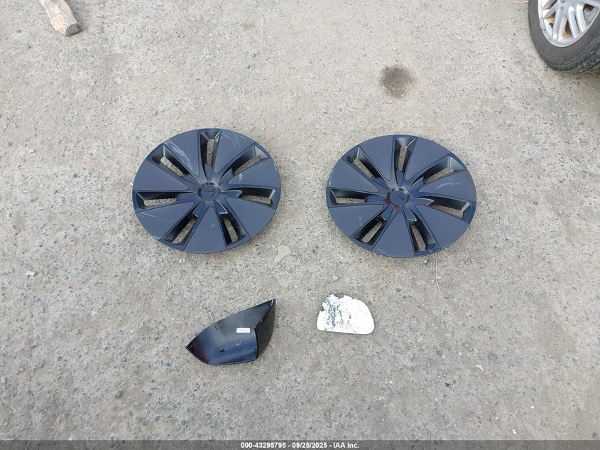 2025 Tesla Model 3 Long Range Rear-Wheel Drive VIN: 5YJ3E1EA3SF028952 Lot: 43295795