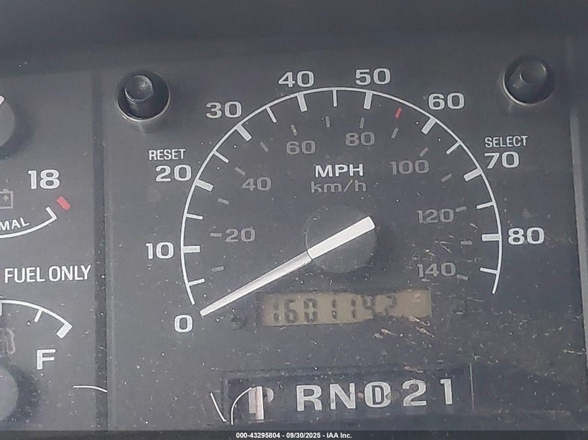 1992 Ford F150 VIN: 1FTEF14H0NKB65245 Lot: 43295804