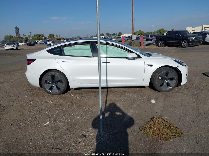 2023 Tesla Model 3 Rear-Wheel Drive VIN: 5YJ3E1EA0PF554110 Lot: 43295913