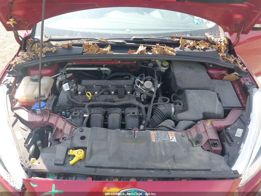 2016 FORD FOCUS SE - 1FADP3F22GL370999