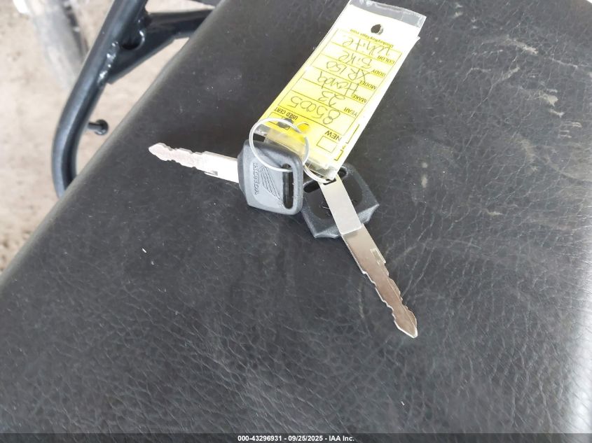 2023 Honda Xr150L E VIN: 3H1KD1314PD000576 Lot: 43296931