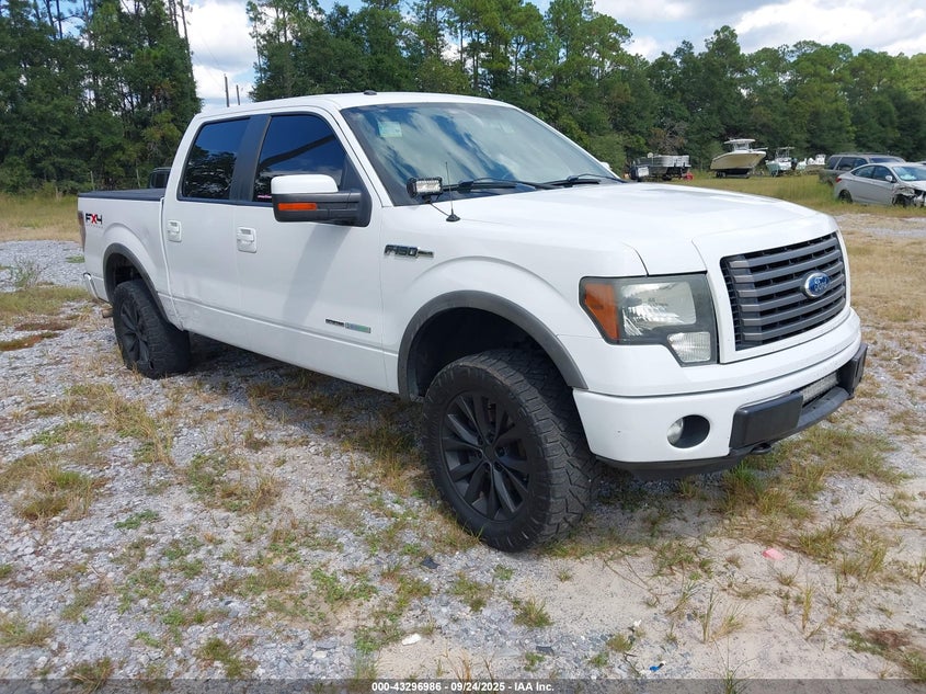 FORD F-150 FX4