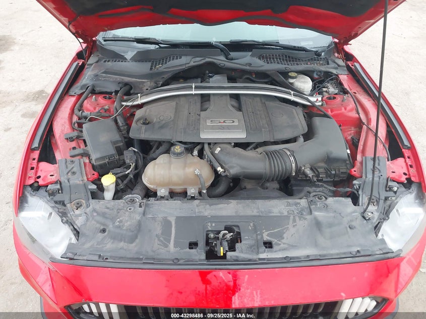 2019 FORD MUSTANG GT PREMIUM - 1FA6P8CF3K5106653