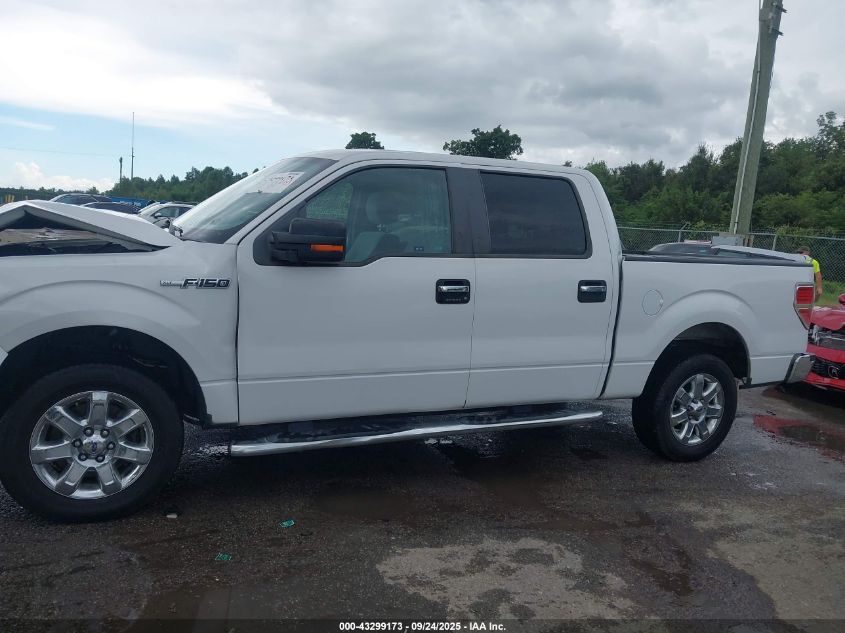 2013 Ford F-150 Xlt VIN: 1FTFW1CF0DFA86251 Lot: 43299173